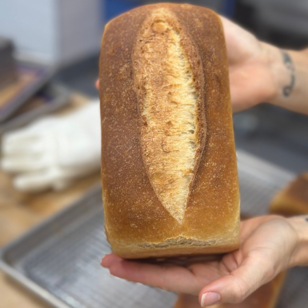 50% Whole Grain Sandwich Loaf
